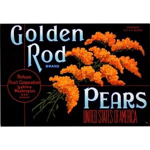 1940s GOLDEN ROD PEARS Fruit Crate Label - Perham Fruit Corporation Yakima WA